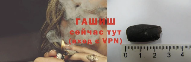 индика Алзамай