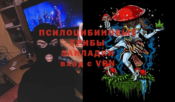 винт Алексин