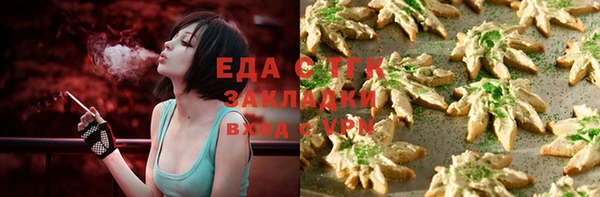 индика Алзамай